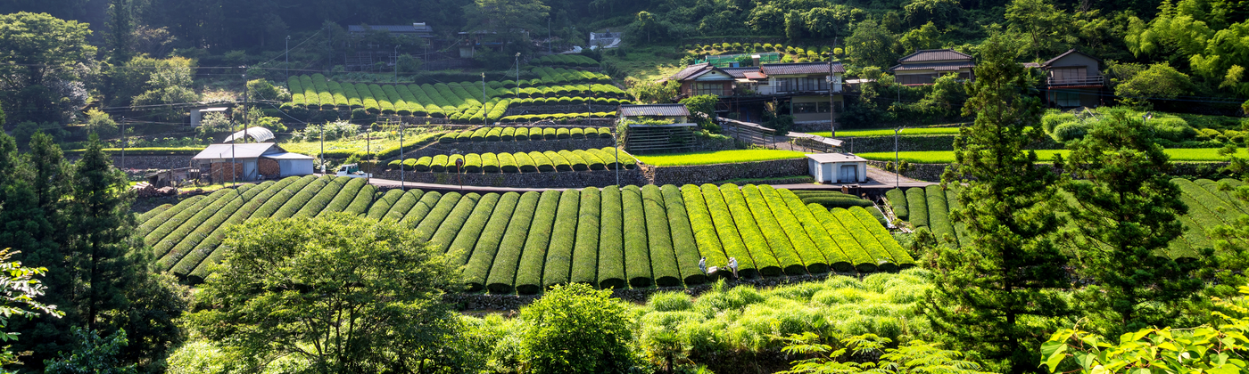 Products Made in Kagawa
