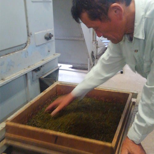 #0428.K2 弘喜園茶園 鹿児島県霧島産 和紅茶 金谷みどりの単一品種紅茶