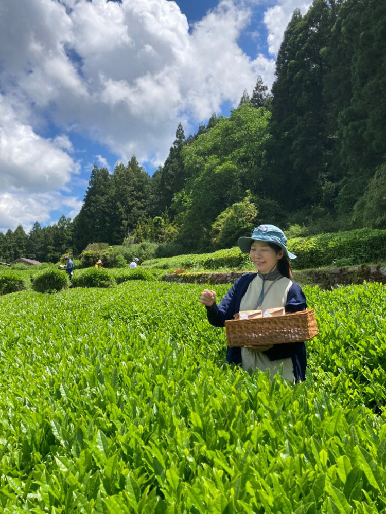 #0894.A1 燕から茶畑へ 愛知県岡崎市額田村産直煎茶