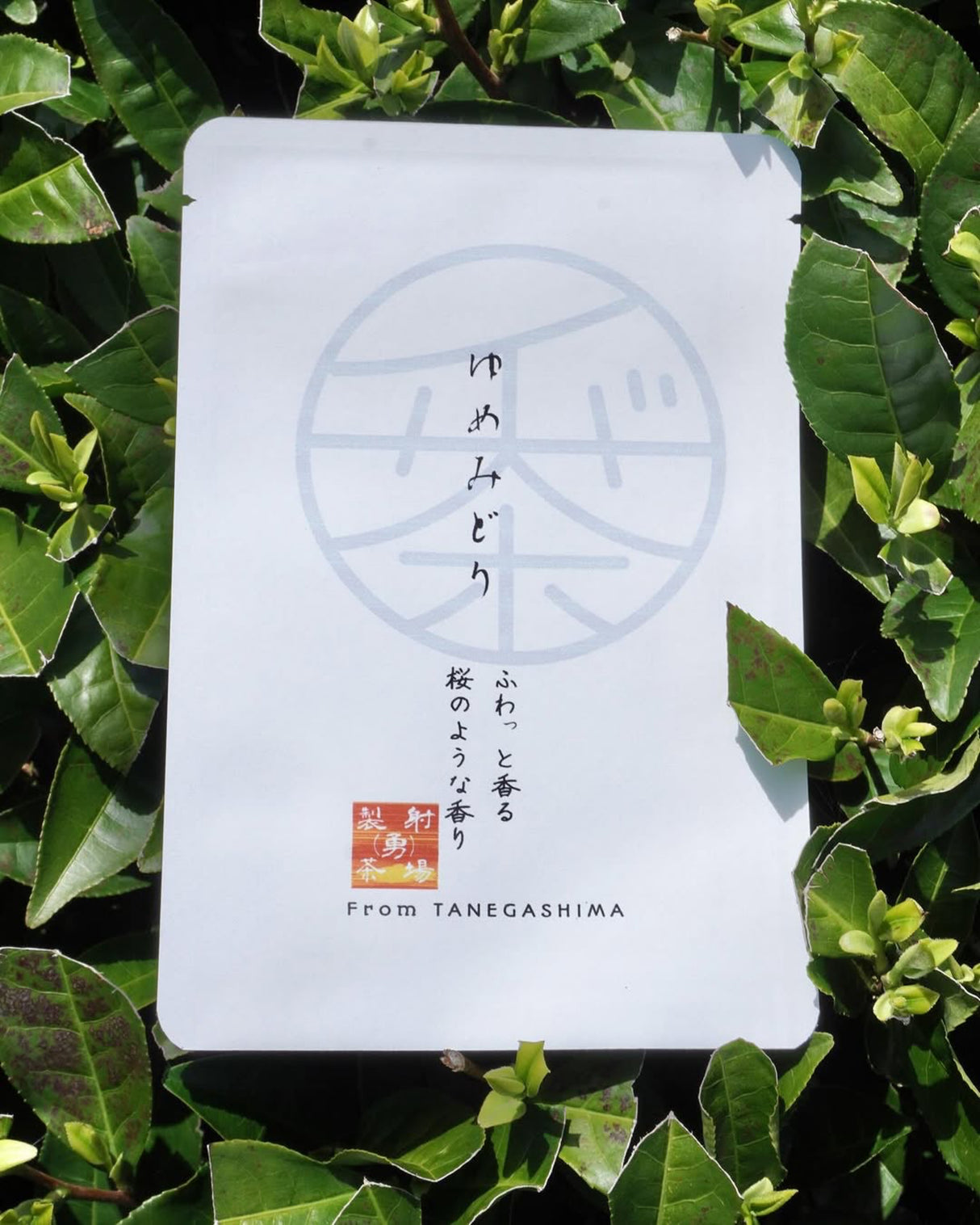 #0328.K2 Iba Yu Tea Garden: SOLD OUT 2025 Tanegashima Single Cultivar Sencha - Yume Midori (micro batch, limited)