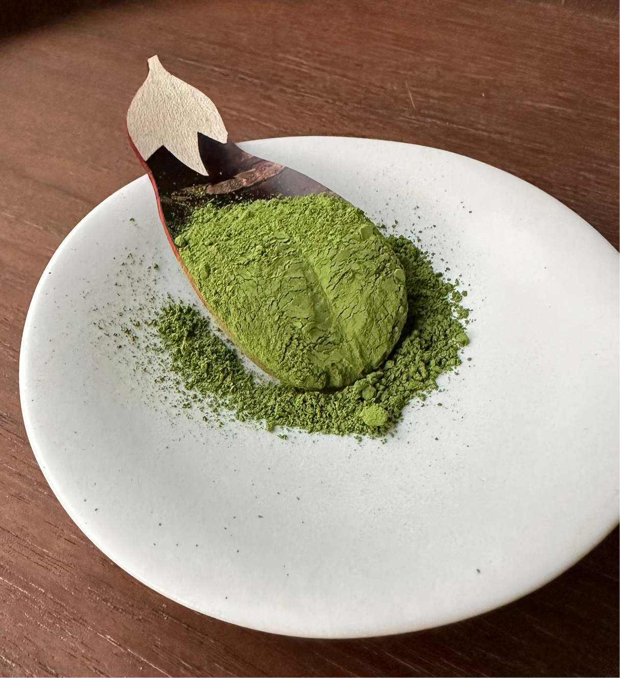 Yunomi.Dojo Studio Lesson - Matcha Deep Dive