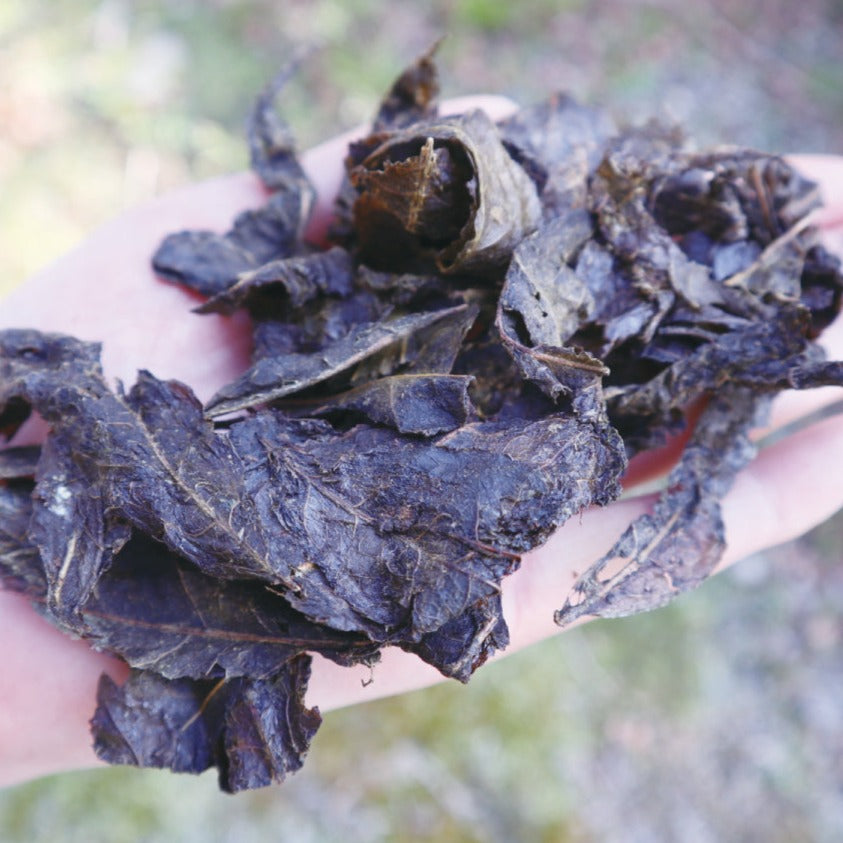 Ishizuchi Kurocha - Fermentoitu tumma tee Ehimen prefektuurista - EH001