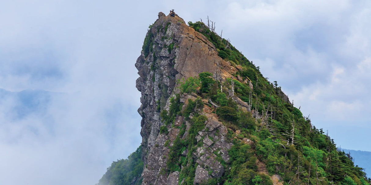 Ishizuchi Kurocha - Fermentoitu tumma tee Ehimen prefektuurista - EH001