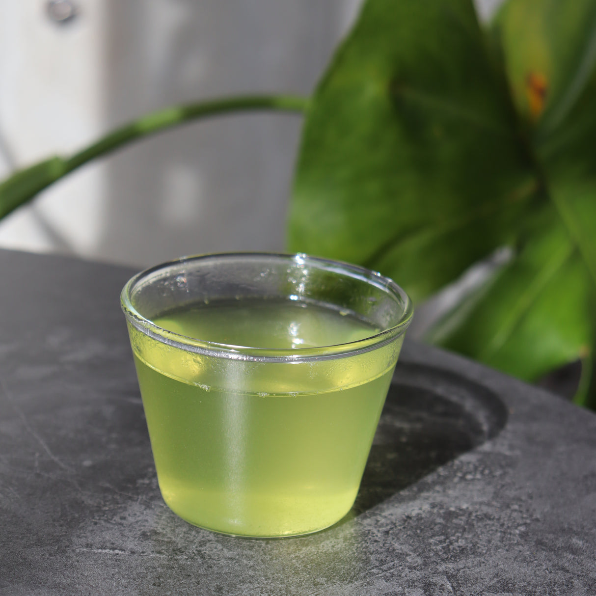 #0745.S2 横田茶園 狭山茶おくみどり 深蒸し茶おくみどり