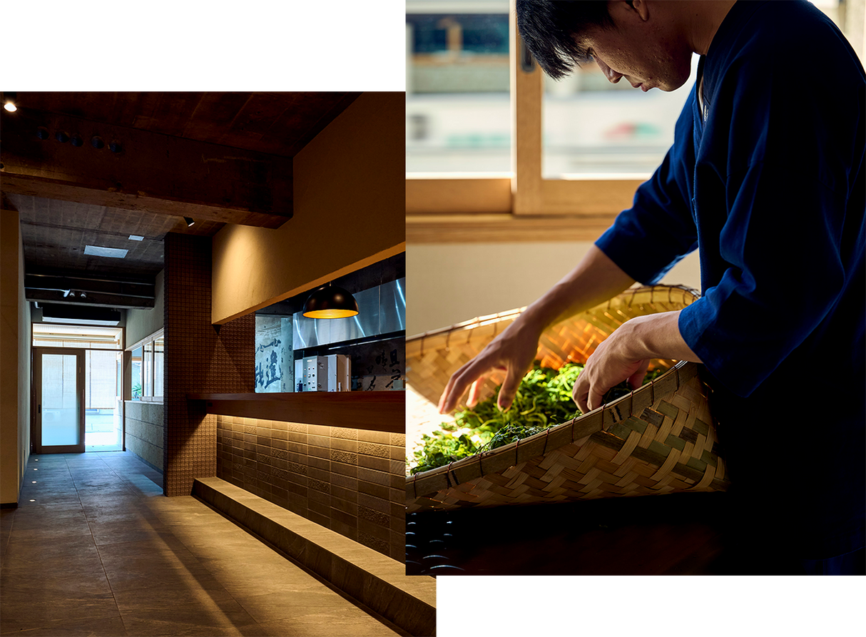 Baisa Nakamura: Kirishima Sencha Z1 (yksi lajike)