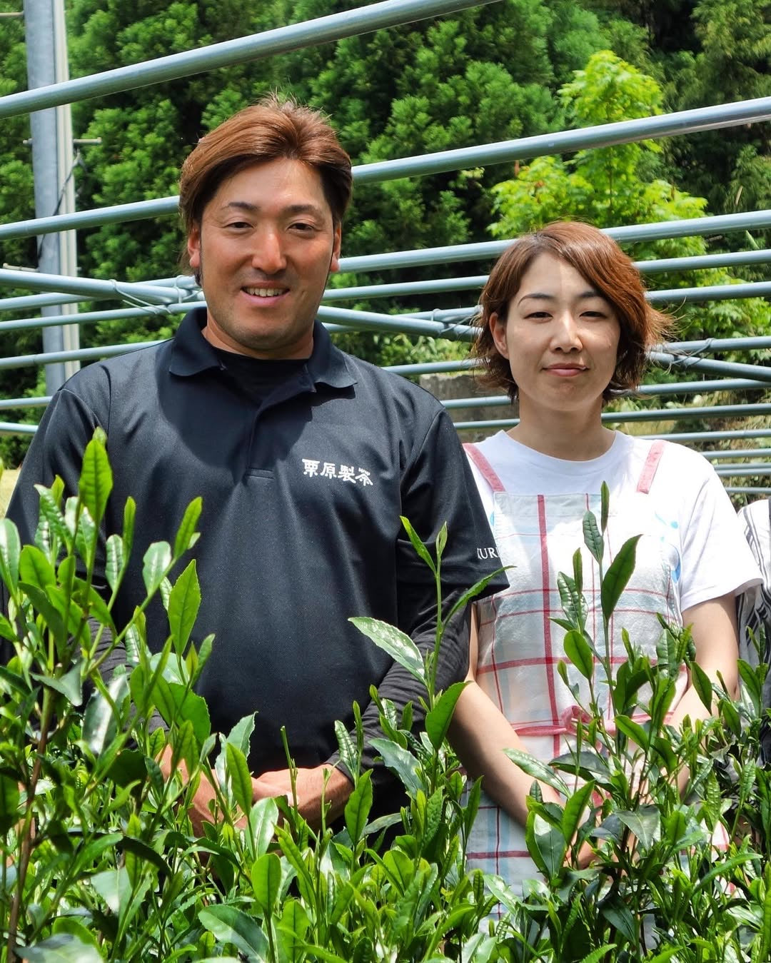 Kurihara Tea FK016: Kilpailuluokka Saemidori Heritage Gyokuro Green Tea