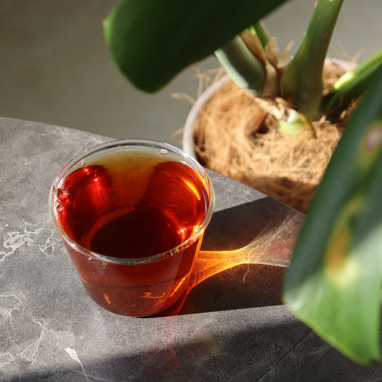 #0426.K2 幸喜園茶園:和紅茶 べにふうき単一品種 - 鹿児島県霧島市で自然栽培