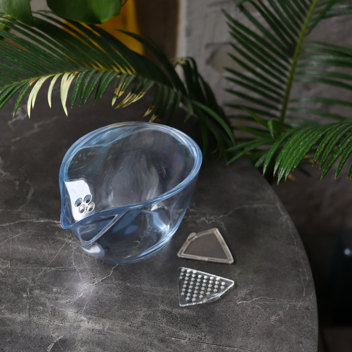 CHASTA: Heat Resistant Tritan Tea Pot