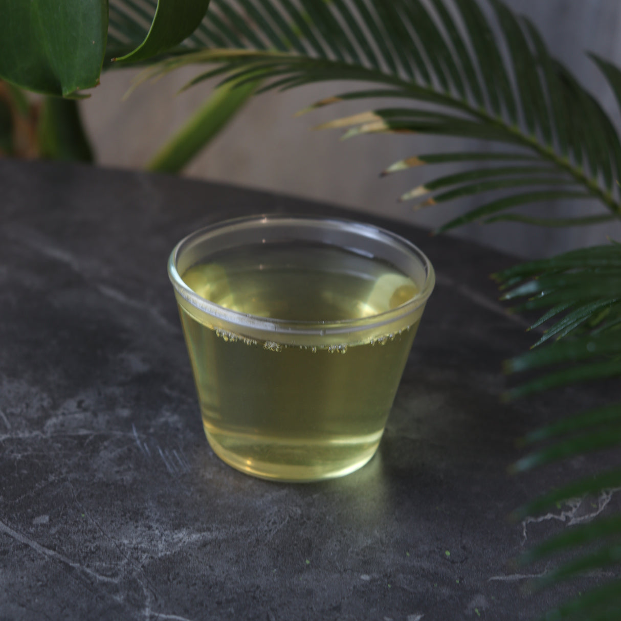 #0041.S5 NaturaliTea: Hatsutsumi Midori Hashiri Shincha First Flush Asamushicha 有機浅蒸し煎茶: 初摘みみどり