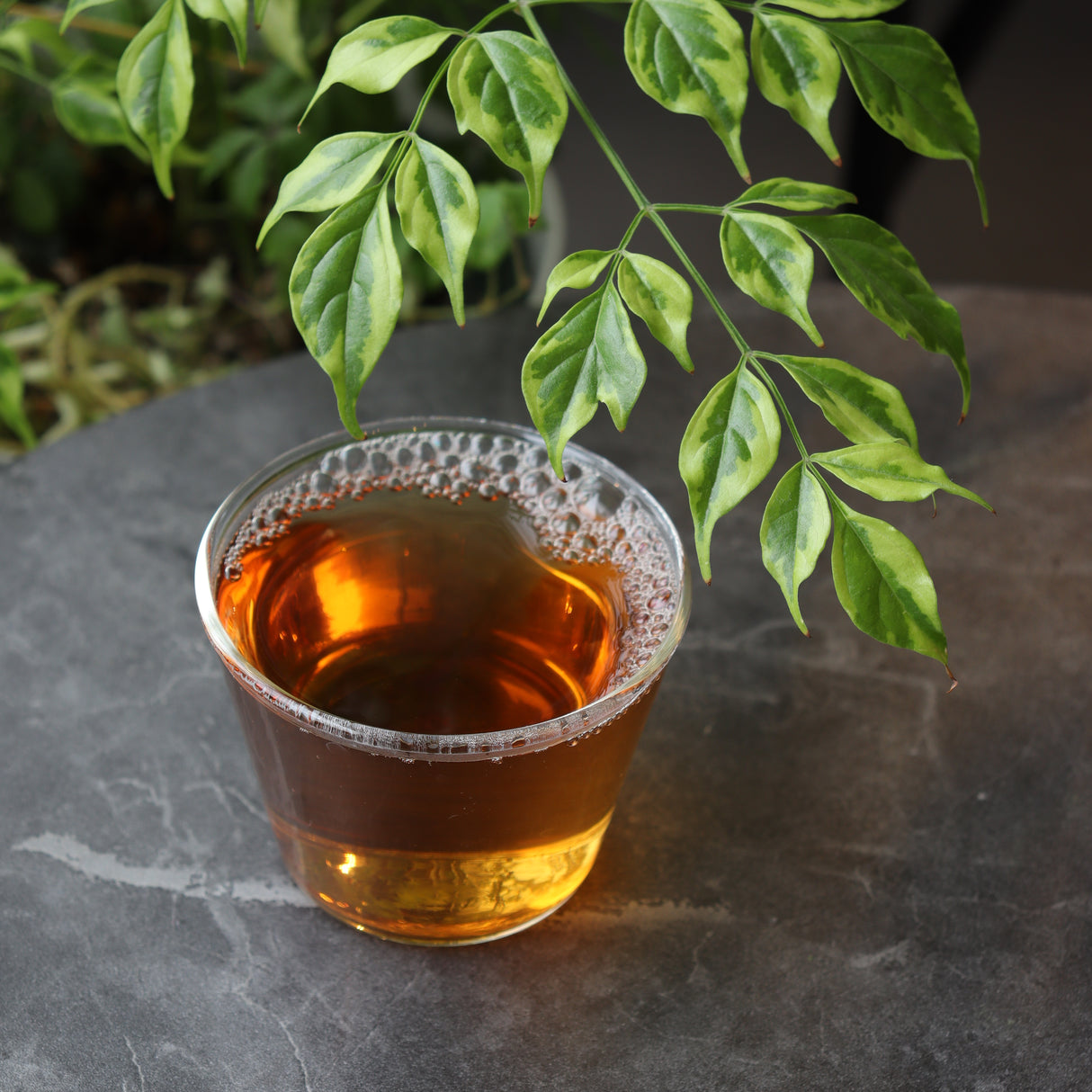 #0211.S5 Dobashien Tea #18: Kakegawa Series: Premium Shizuoka Hojicha Roasted Green Tea 特上ほうじ茶 100g