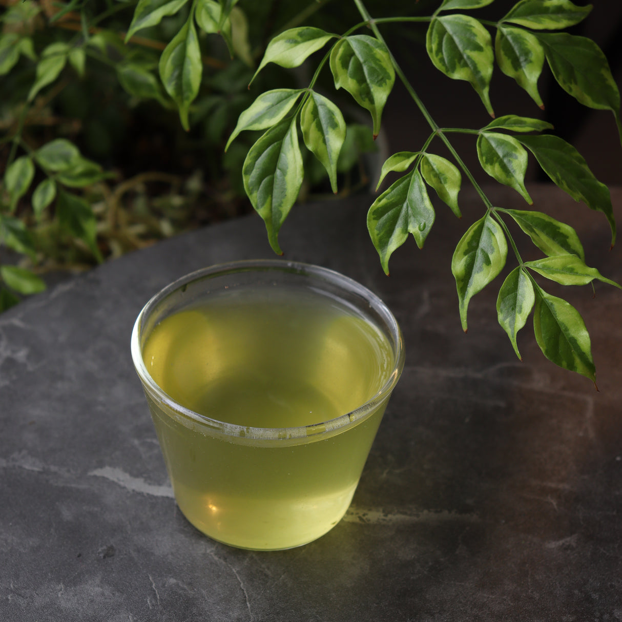 #0205.S5 Dobashien Tea #12: Kakegawa Series: Spring Harvested Shizuoka Aracha, Hatsumidori 荒茶 初緑 200g