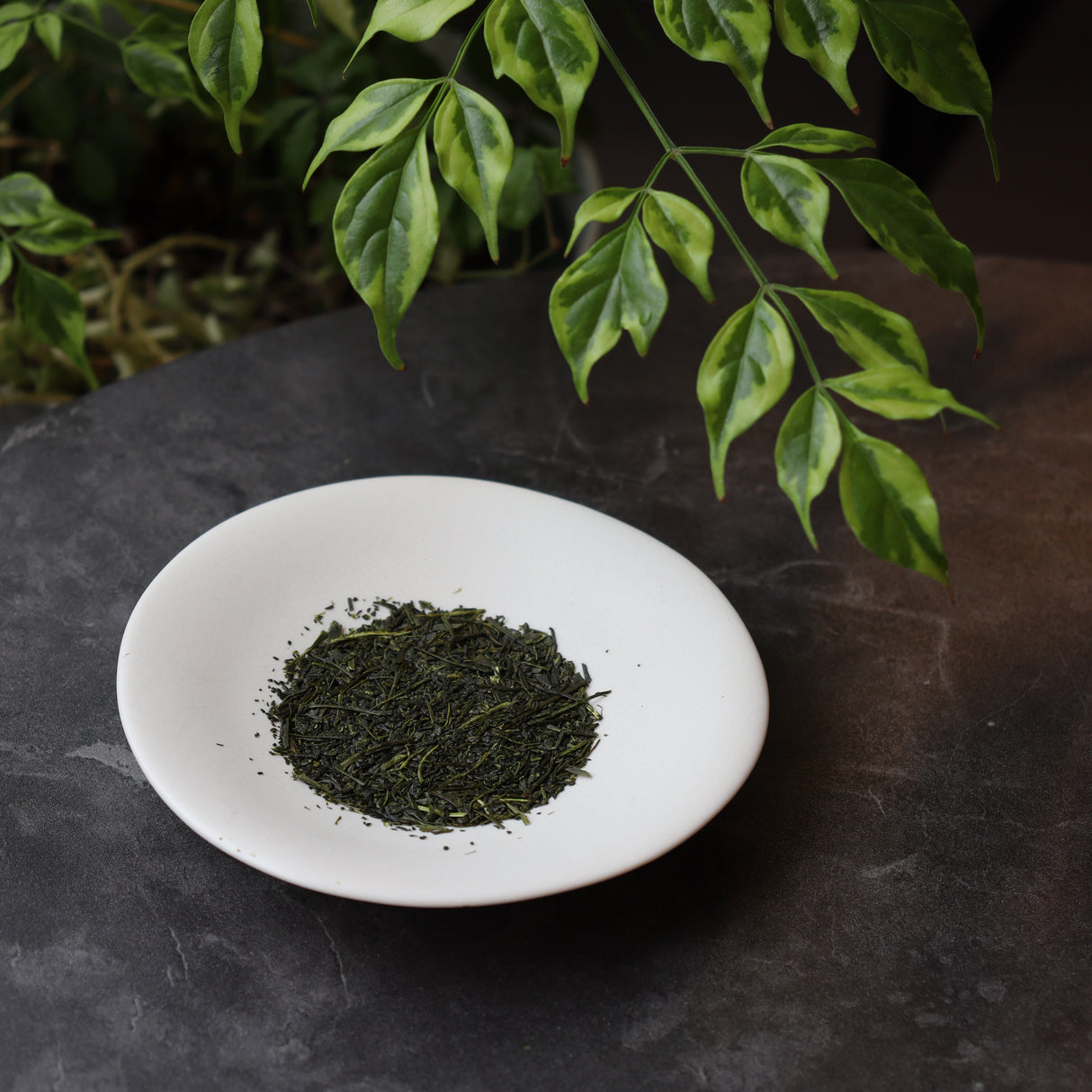#0196.S5 Dobashien Tea #03: Kakegawa Series: Premium Shizuoka Sencha, Iwashimizu 岩清水