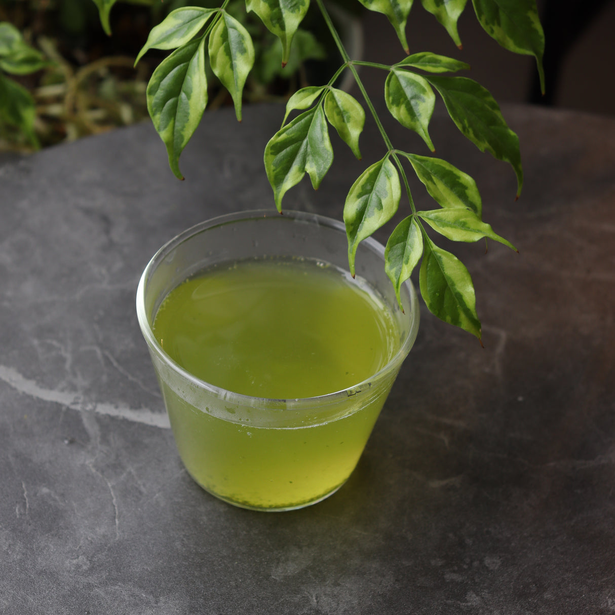 #0203.S5 Dobashien Tea #10: Kakegawa Series: Superior Sencha Rikyu 煎茶 利休