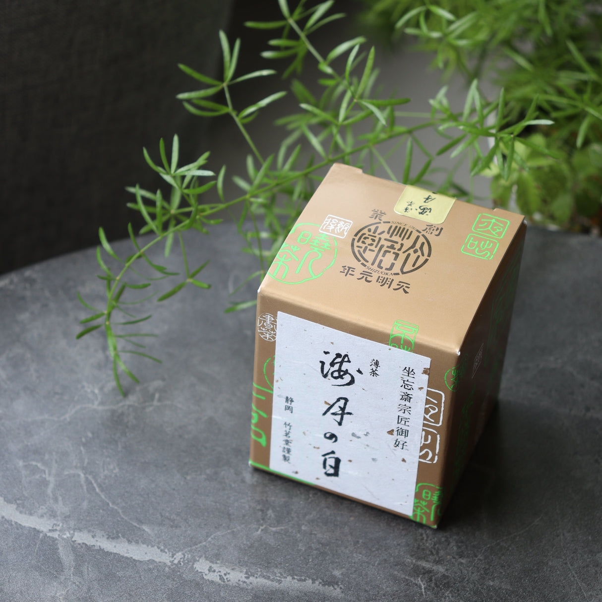 #0871.S5 Chikumeido: Usucha Matcha Kaigetsu no Shiro 抹茶【海月の白】