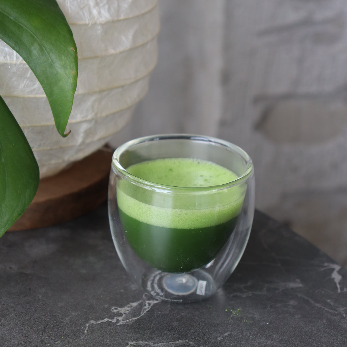 #0869.S5 Chikumeido: Usucha Matcha Hisakata no Shiro 抹茶【久方の白】