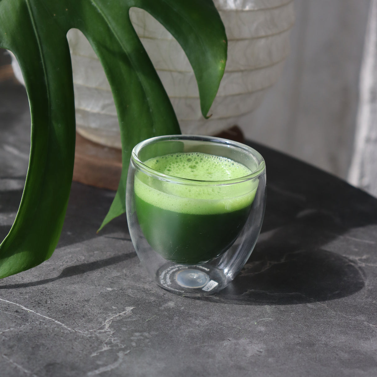 #0866.S5 Chikumeido: Koicha Matcha Surugamai 抹茶【駿河舞】