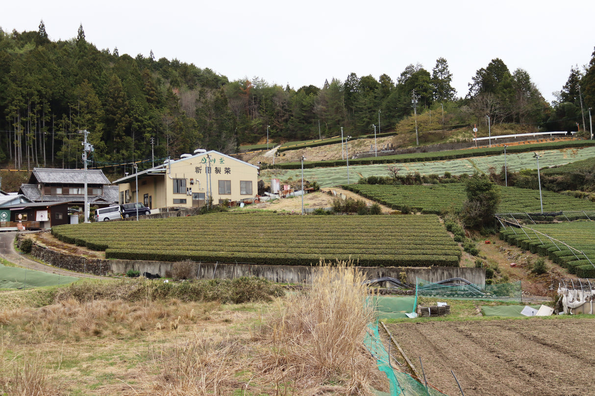 #1055.G1 Nitta Tea Factory: Imperial Sencha