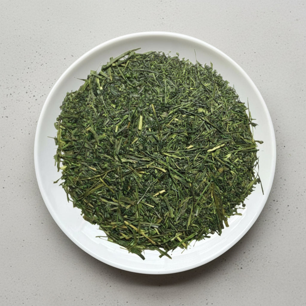 #0143.S5 やまね園:掛川深蒸し茶黒ラベル 特選ブラック掛川茶