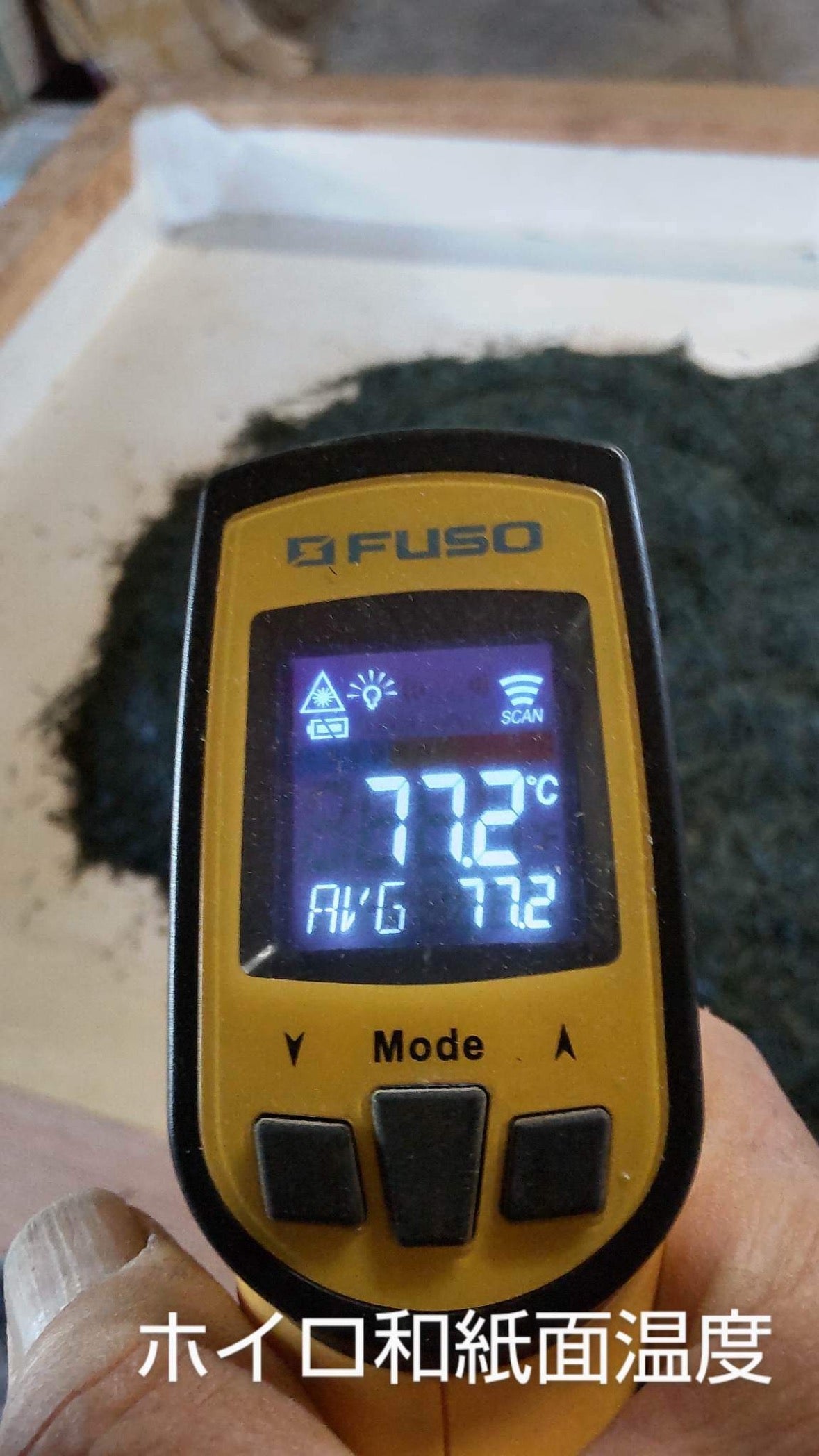 #0398.S5 Kanes Tea: 2025 Honzu No. 5 - Competition Grade Asamushi Sencha from Kawane, Shizuoka