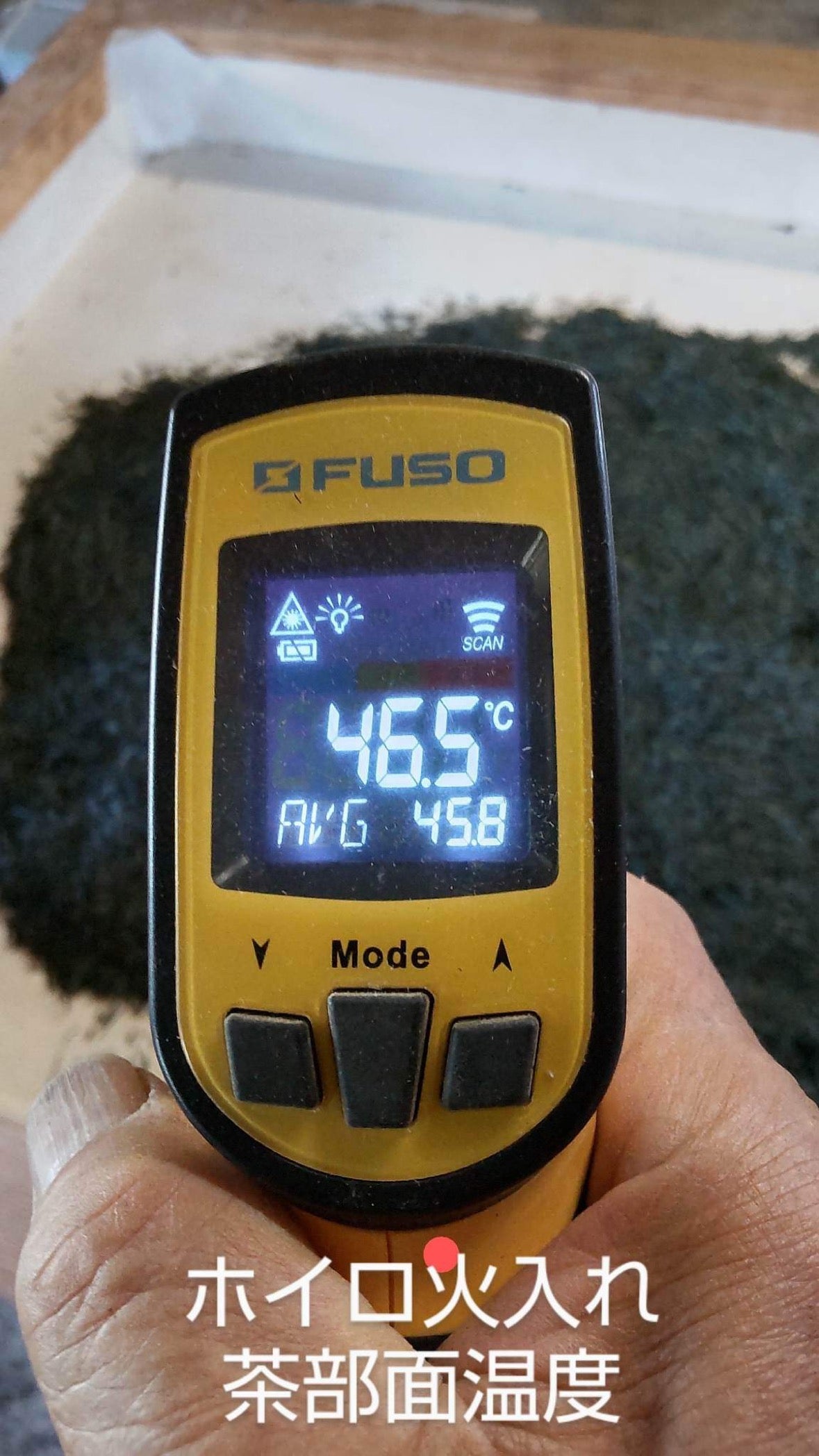 #0398.S5 Kanes Tea: 2025 Honzu No. 5 - Competition Grade Asamushi Sencha from Kawane, Shizuoka