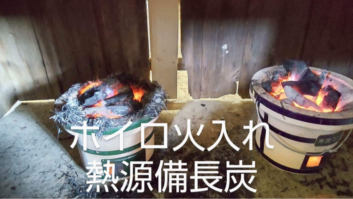 #0398.S5 Kanes Tea: 2025 Honzu No. 5 - Competition Grade Asamushi Sencha from Kawane, Shizuoka