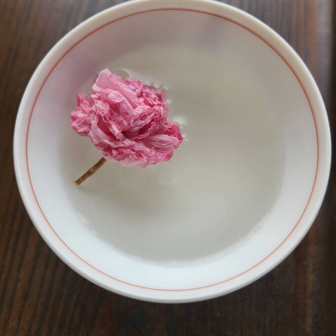 Iijima Seitarou Shoten KN003: Salt-Pickled Sakura Blossoms (Japanese-grown) 桜花の塩漬