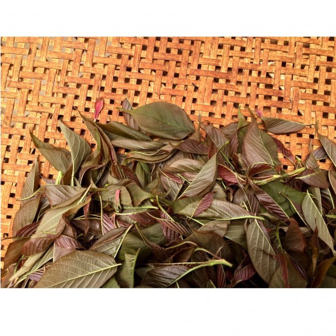 Chiyonoen Tea Garden: #27 Mountain-Grown Yame Sakura Leaf Black Tea 【矢部紅茶】春の香紅茶 桜のナチュラルフレーバー - Yunomi.life