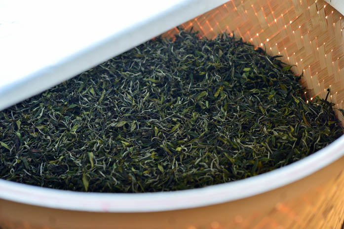 #0245.S2 Bizenya: #05 Haru - Handpicked Sayamacha White Tea, Fukumidori Cultivar 狭山白茶 白瑠(Haru)