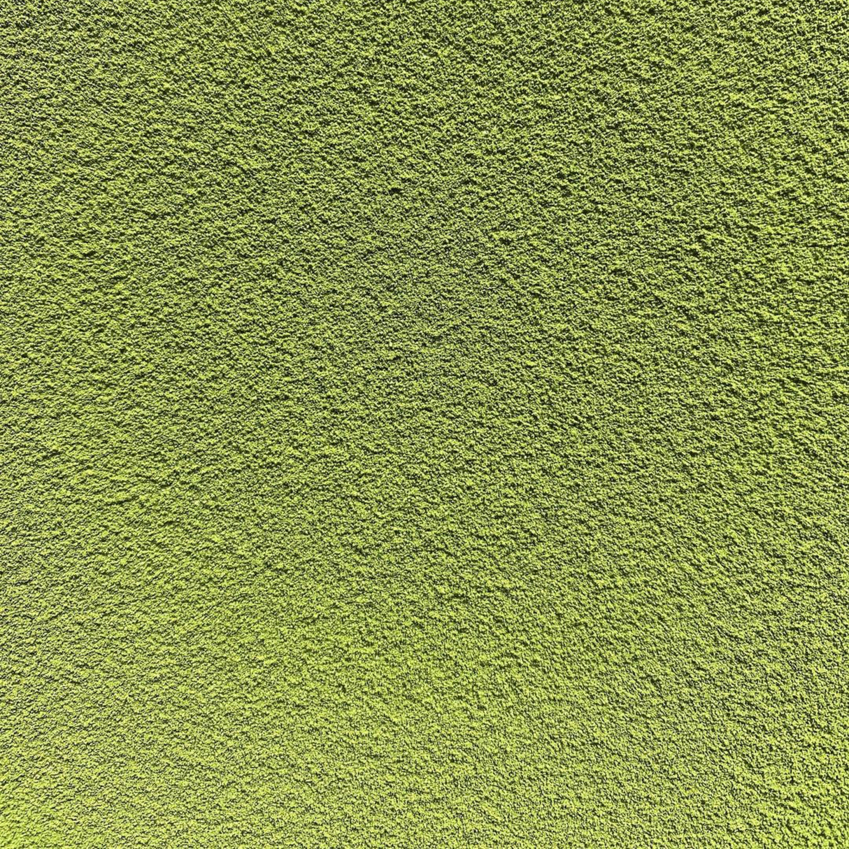 (2025 Not Available) #0515.K6 Nakai Tea Farm: Naturally Grown Uji Matcha Seisho (Samidori) Standard Ceremonial Grade 30g, Wazuka, Kyoto