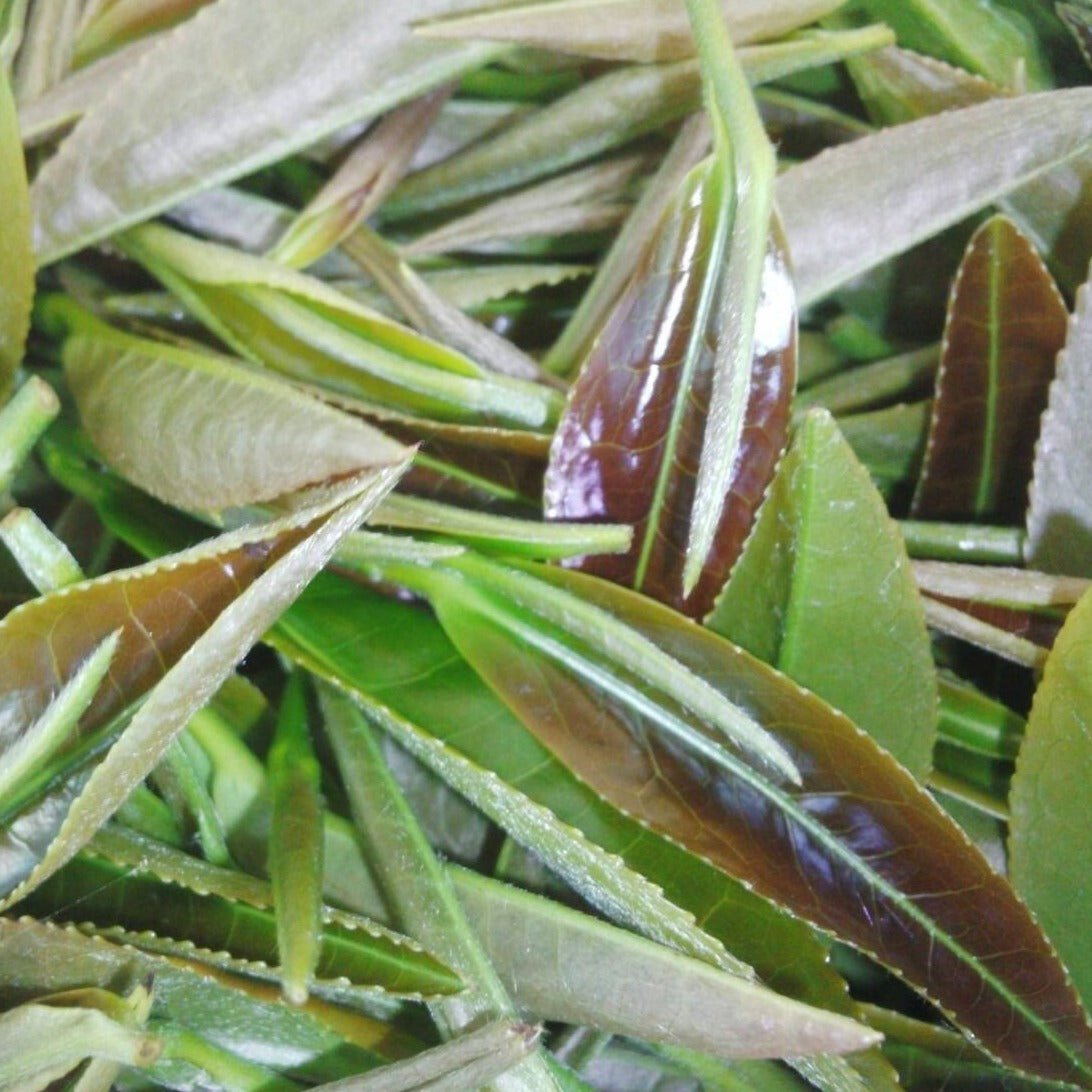 Tarui Tea Farm: 2022 Organic Sencha Chouseiden - Single Cultivar Shizu 7132 有機 長生殿 - Yunomi.life