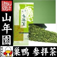 Yamane-en: Kakegawa Fukamushi Standard, Tea Blessing 巣鴨 参拝茶 - Yunomi.life