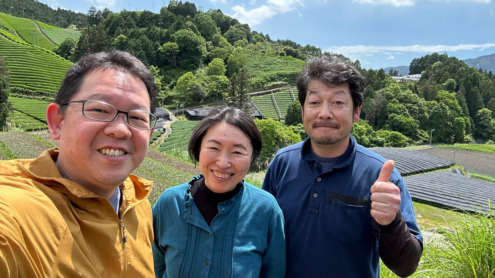 Offsetting carbon emissions generated through our e-commerce activity