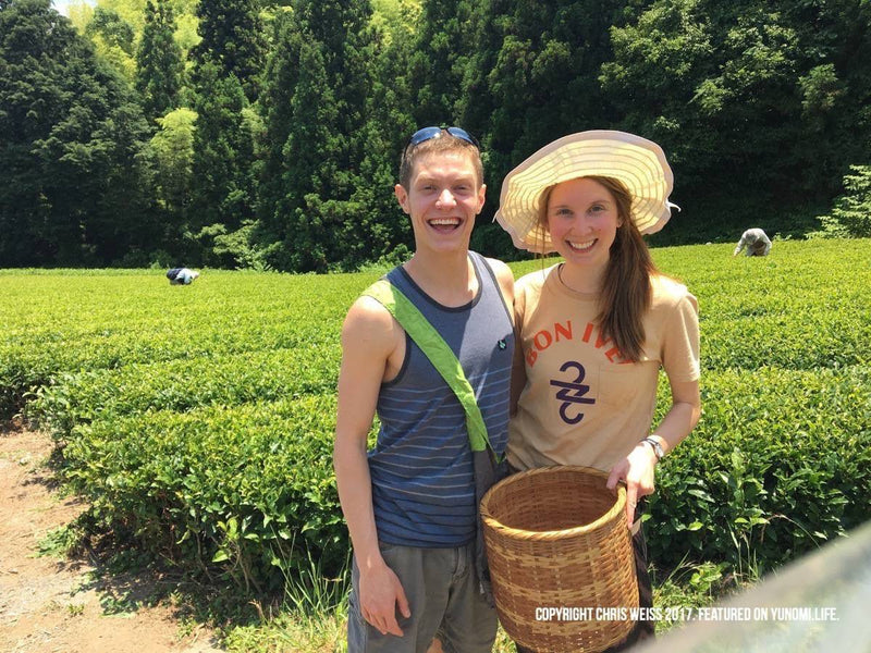 A Visit to the NaturaliTea Tea Farm and Making Black Tea in Shizuoka - Yunomi.life