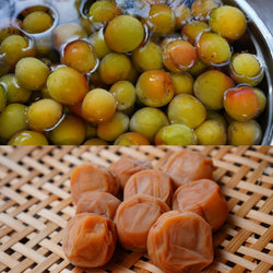 Seasonal Ume (梅,Japanese Apricot) Preserving - Yunomi.life