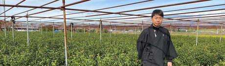 Shogyokuen Tea Factory