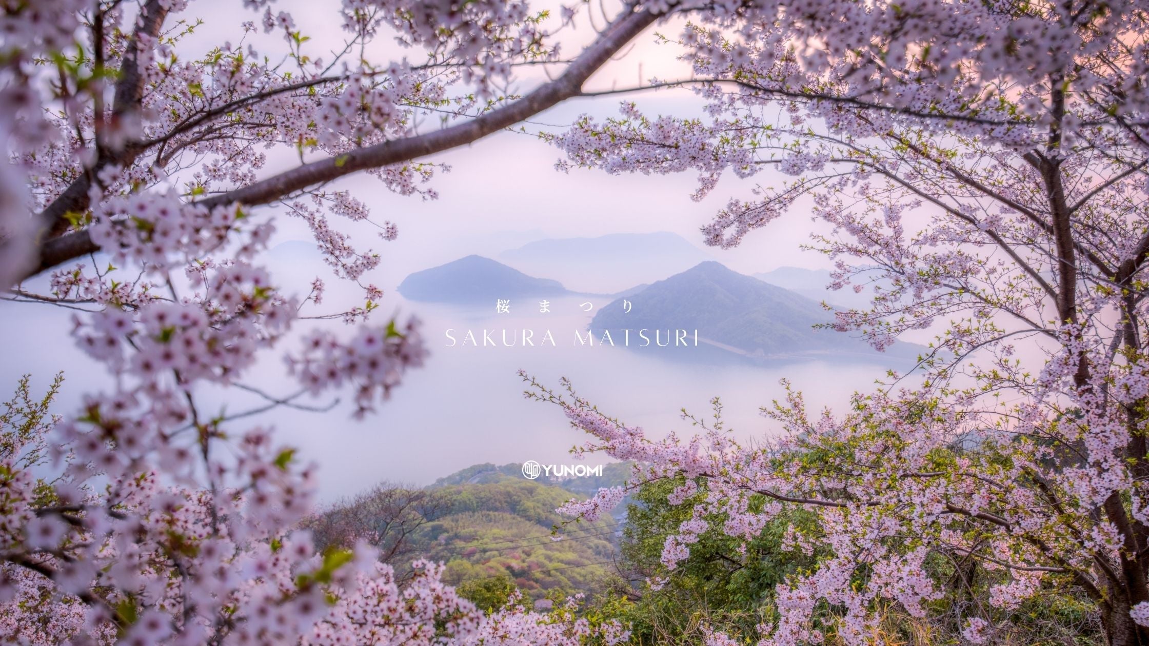 Sakura Matsuri – Yunomi.life