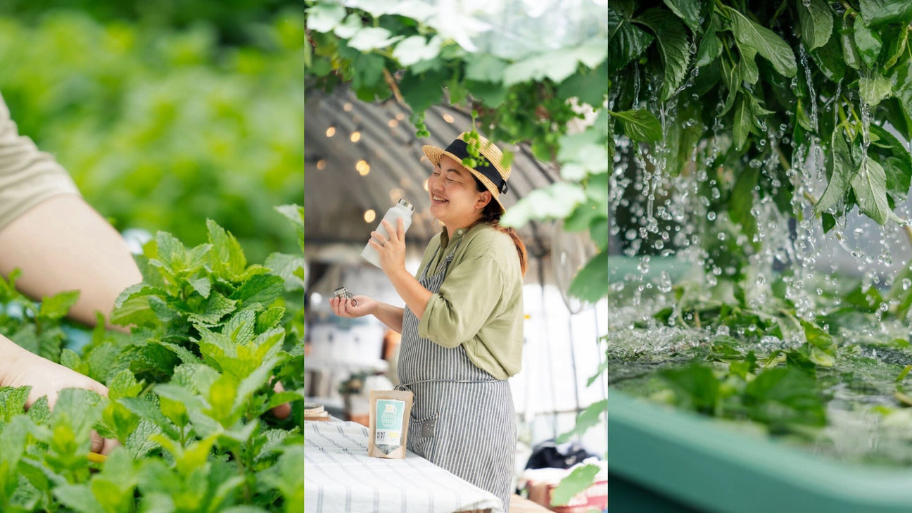 Hiroko’s Herb Garden