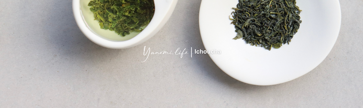 Ichoucha - Withered Green tea