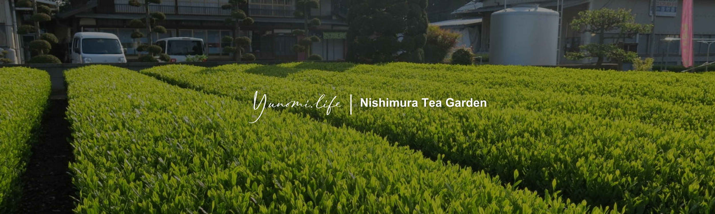 Nishimura Tea Garden
