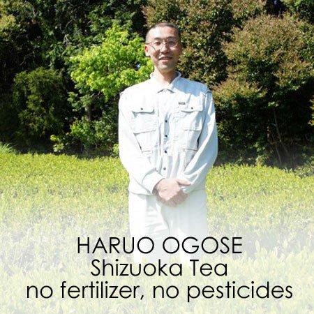 Haruo Ogose - Yunomi.life