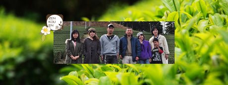 Zenkouen Tea Garden