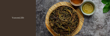 Japanese Oolong Tea