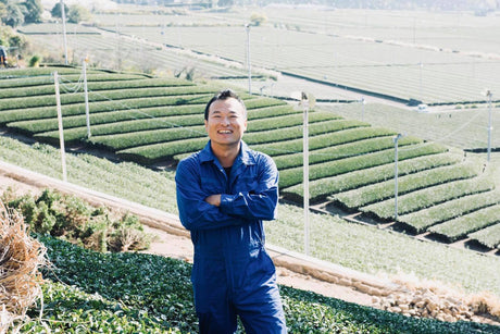 kaneroku matsumoto tea garden