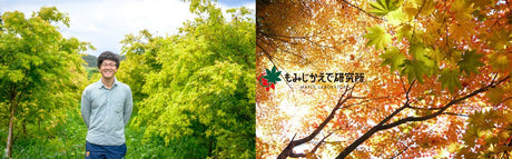 Maple Laboratory - Yunomi.life