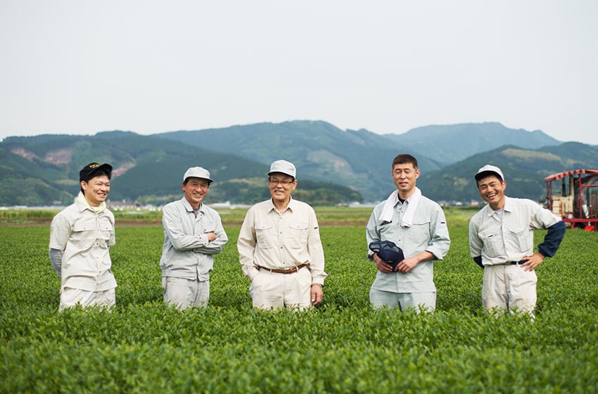 Miyazaki Kamimizu Tea Farm - Yunomi.life