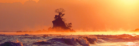 Products Made in Toyama