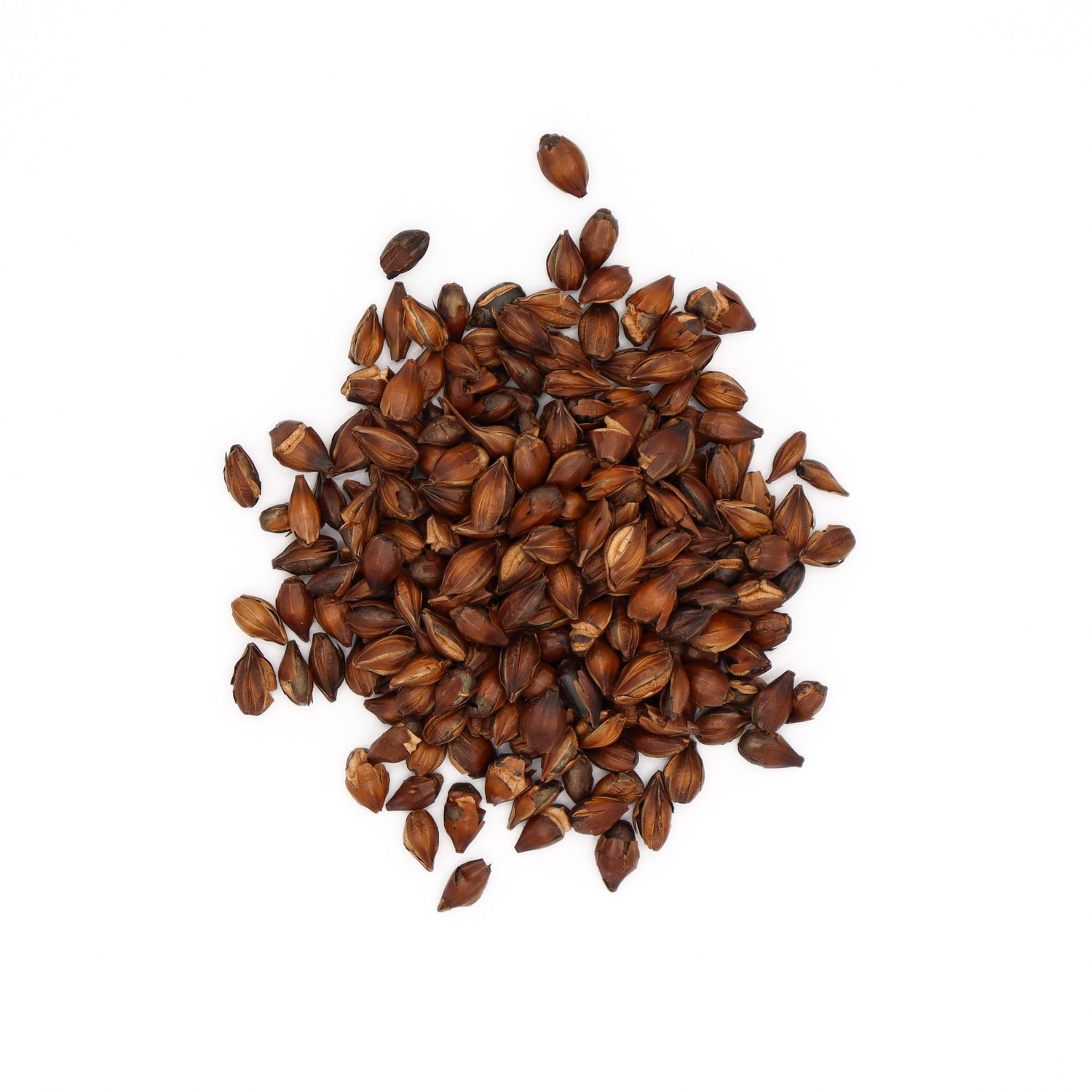 #1110.T2 Wakaba Farm: Naturally Grown Mugicha (Barley Tea) – Whole Roasted Barley yunomi.life