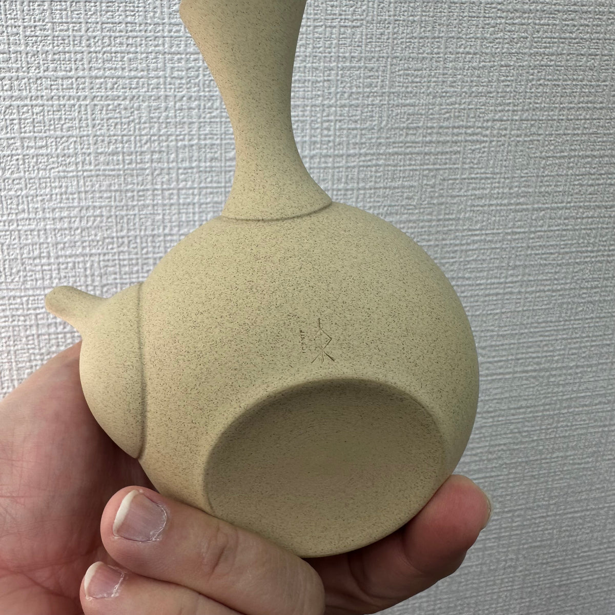 Jinsui Kiln: IROIRO 01 - Earth - 290ml, Tokoname Kyusu Tea Pot