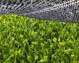 #0932 Tenocha - Naturally Grown Ureshino Tamaryokucha from Tea Farmer Shunsuke Nagao