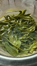 Temomicha (Handrolled Green Tea) - Competition Grade - Nagareboshi